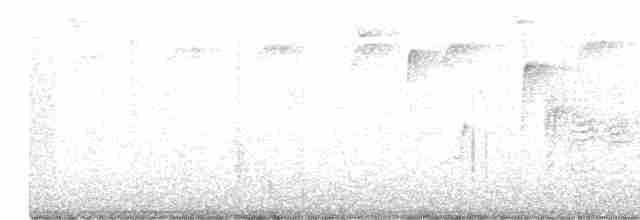 White-eyed Vireo - ML248123971