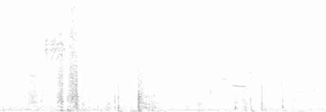 leskot modrošedý [skupina obscura] - ML248132921