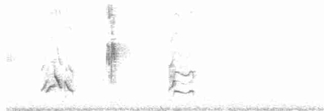 Пересмішник сірий - ML248136211