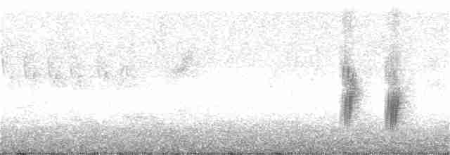 キタオビナシショウドウツバメ - ML248170181