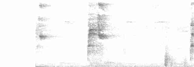 Ошейниковый арасари - ML248179351
