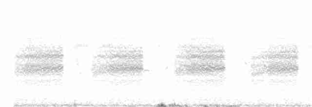 Long-tailed Shrike - ML248214111