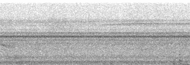Нікорник сьєра-леонський - ML24826