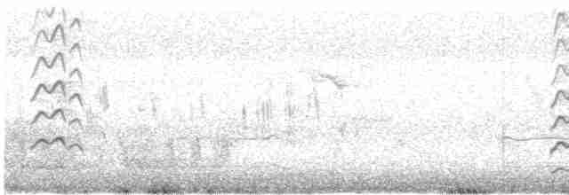 Black-tailed Godwit - ML248278201