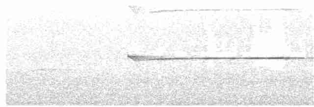Ширококрылый канюк - ML248282361