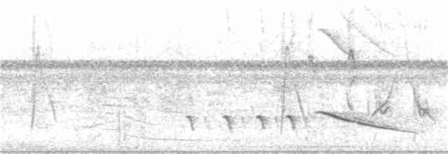 Bluish-gray Saltator - ML248287531