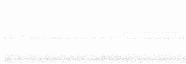 Russet-crowned Crake - ML248296211