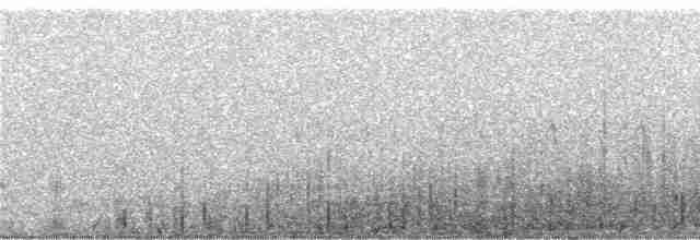 Андская лысуха - ML248330