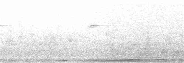 Полосатохвостый голубь - ML248330071