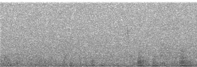 Андская лысуха - ML248331