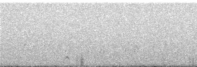 Андская лысуха - ML248332