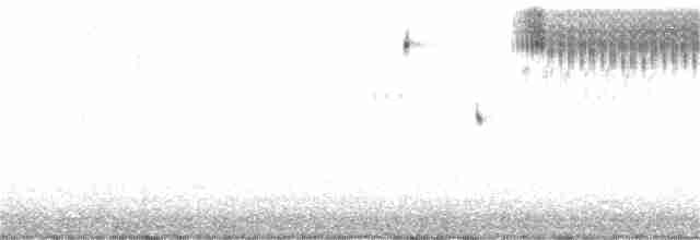 Grasshopper Sparrow - ML248338031