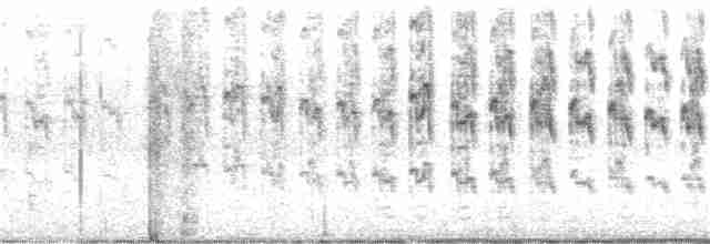 rorýs srpokřídlý - ML248338351
