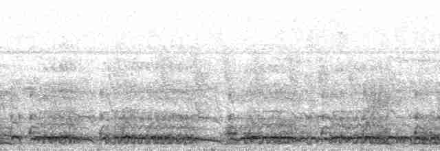 Гологлазый турако - ML24834