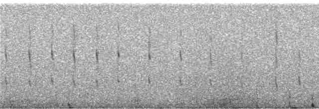Strichelstirn-Bündelnister - ML248340