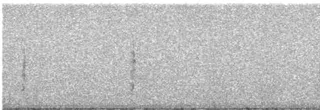 Puna Pipit - ML248348