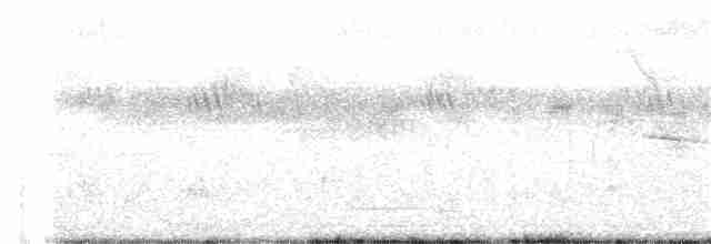 Полосатая трёхперстка - ML248361461