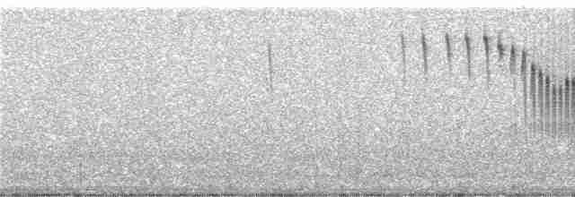 Светлокрылая трясохвостка - ML248378