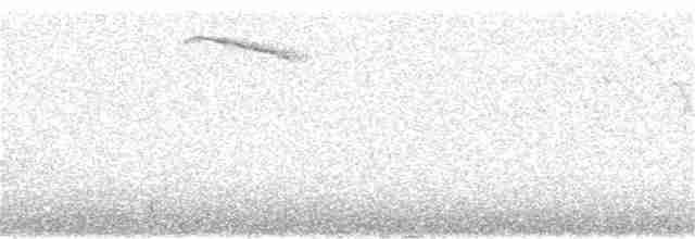 Дрізд-короткодзьоб плямистоволий - ML248398871