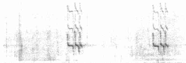 Короткоклювый бекасовидный веретенник - ML248410351