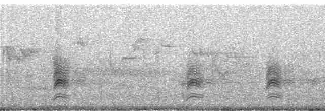 Сорокопуд терновий - ML248453