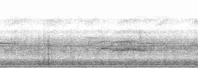 Колоратка родезійська (підвид swynnertoni) - ML24848