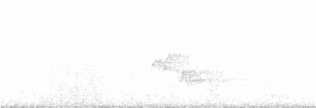Pine Warbler - ML248509851