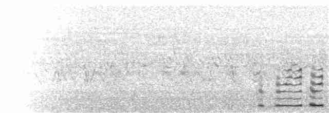 Texasnachtschwalbe - ML248519451