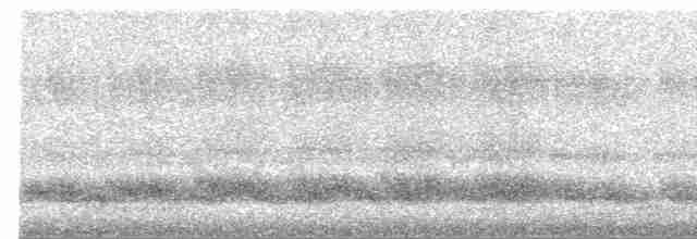 Benekli Horoz Kekliği - ML248528661