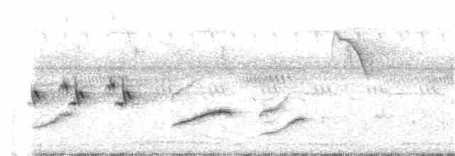 Tawny-bellied Babbler - ML248531371