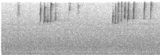 Gri Gerdanlı Klorospingus [canigularis grubu] - ML248556