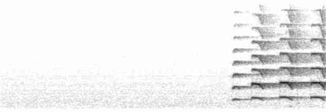Чёрно-белый ястреб - ML248561901
