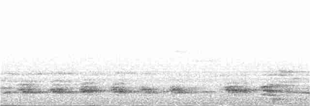 sølvkinnhornfugl - ML248562561