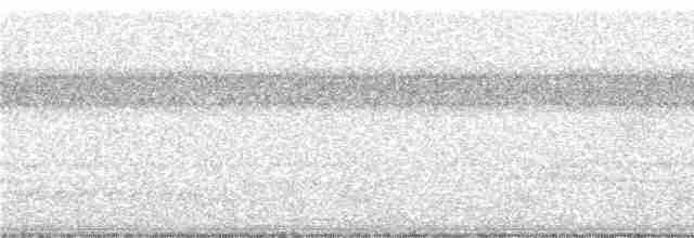 White-necked Puffbird - ML248573