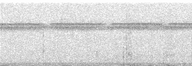 Tarçın Göğüslü Todi Tiranı - ML248587