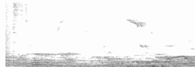 White-throated Kingfisher - ML248589561