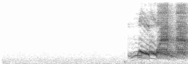 White-crested Laughingthrush - ML248609401