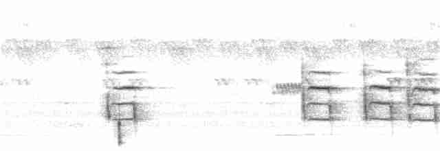 Camaroptère à tête grise (groupe brevicaudata) - ML248649461