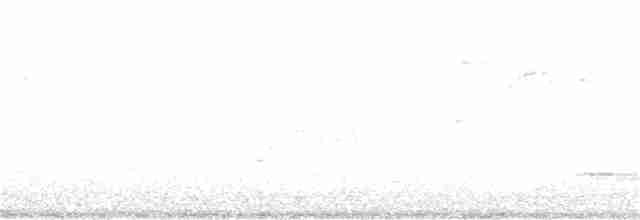 Paruline à gorge grise - ML248651881