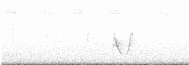 Plumbeous Vireo - ML248655191