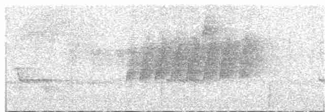 Eufonia Ventricastaña - ML248662781