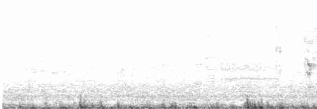 Troglodyte des marais - ML248678681