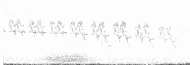 Щеврик прерієвий - ML248688161