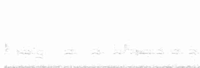 lesňáček černobílý - ML248697171