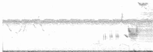 Приморская овсянка-барсучок (maritima/macgillivraii) - ML248708601