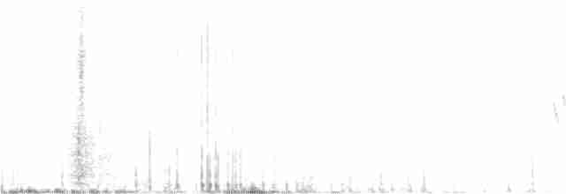Rubinfleck-Waldsänger (ridgwayi) - ML248710881