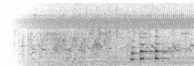 Common Gallinule - ML248721471