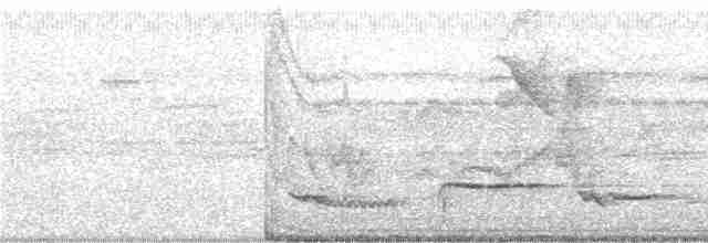 Манишковый дрозд (daguae) - ML248738