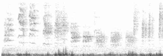 Eastern Olivaceous Warbler - ML248743911