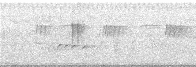 Kestane Gıdılı Tohumcul - ML248746
